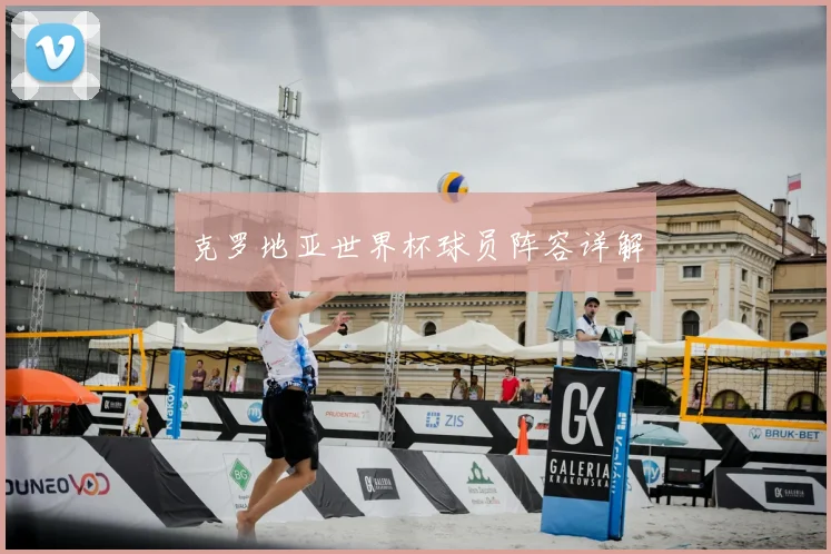 克罗地亚世界杯球员阵容详解