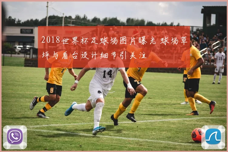 2018世界杯足球场图片曝光 球场草坪与看台设计细节引关注